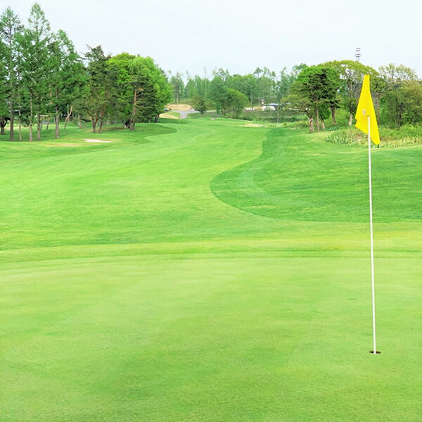 びわの平ゴルフ倶楽部　土休日セルフプレー券（昼食付）　【ゴルフ場利用権】