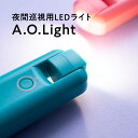 【ふるさと納税】夜間巡視用LEDライト A.O.Light(ターコイズブルー)【青森県 平川市 光城精工】 レビューキャンペーン