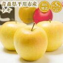 【ふるさと納税】青森県産 トキ 約5kg 【青森県 平川市 JA津軽みらい】10月発送 青森 青森県産 平川 りんご リンゴ 林檎 くだもの 果物 フルーツ レビューキャンペーン
