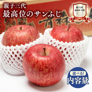 【ふるさと納税】≪内容量が選べる≫ 1月発送! 親子三代最高位のサンふじ 【青森県 平川市 釈迦のりんご園】全国ふじコンテスト最高賞受賞 青森りんご 平川市広船産 家庭用 リンゴ りんご リンゴ 林檎 フルーツ 果物 サンふじ ふじ フジ 平川市 青森 レビューキャンペーン