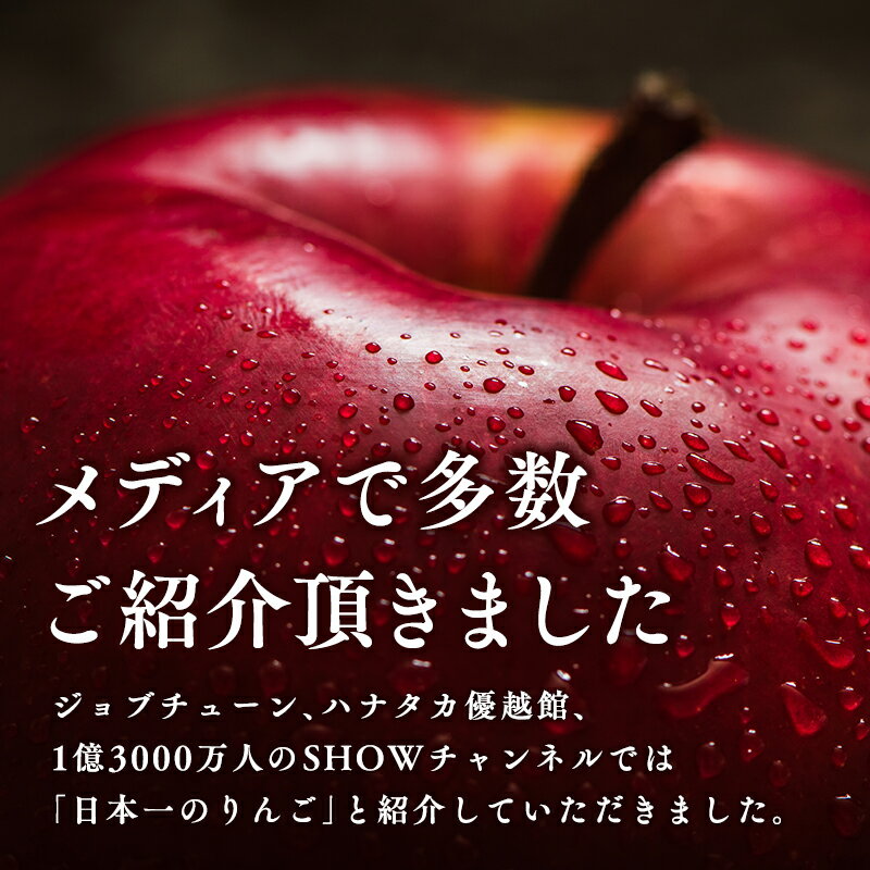 【ふるさと納税】≪内容量が選べる≫ 4月発送! 親子三代最高位のシナノゴールド スマートフレッシュ貯蔵 【青森県 平川市 釈迦のりんご園】 シナノゴールド 全国ふじコンテスト最高賞受賞 青森りんご 家庭用 リンゴ りんご リンゴ 林檎 フルーツ 果物 レビューキャンペーン