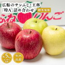 【ふるさと納税】≪年内発送≫青森県産 贈答用 広船のサンふじ・王林詰合せ 約5kg 特A【青森県 平川市 広船アップルクラブ】贈答 サンふじ ふじ 王林 広船 年内 青森 青森県産 平川 りんご リンゴ 林檎 くだもの 果物 フルーツ レビューキャンペーン