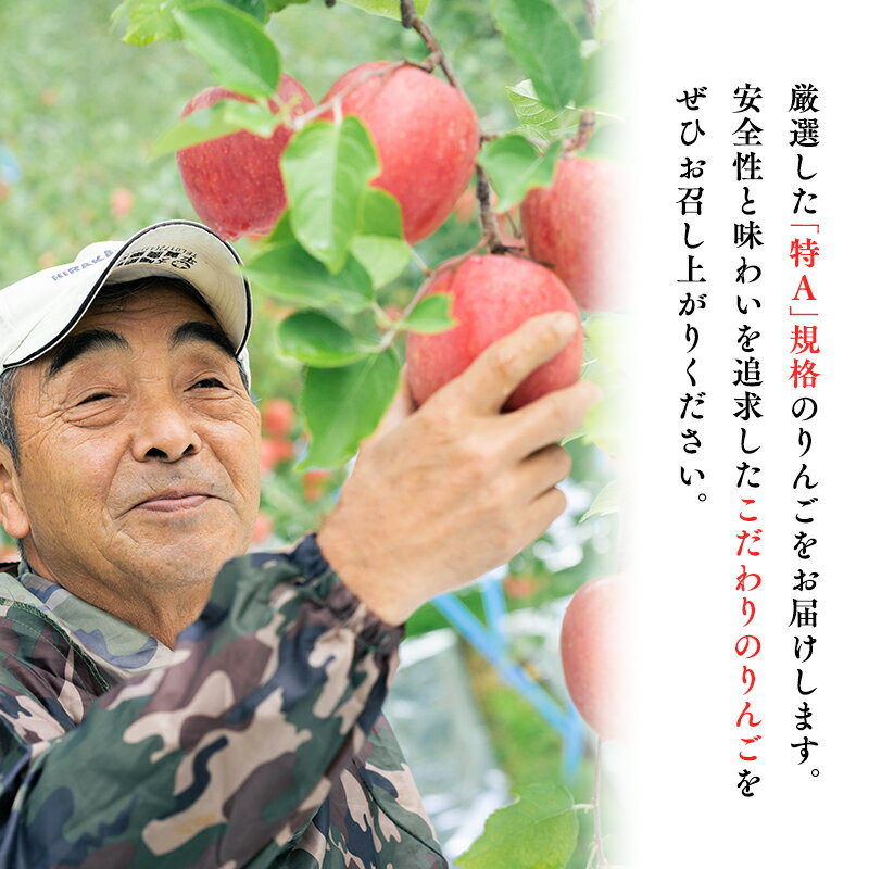 【ふるさと納税】≪年内発送≫青森県産 贈答規格 広船のサンふじ 「 特A 」約5kg【青森県 平川市 広船アップルクラブ】サンふじ ふじ 広船 年内 青森 青森県産 平川 りんご リンゴ 林檎 くだもの 果物 フルーツ レビューキャンペーン