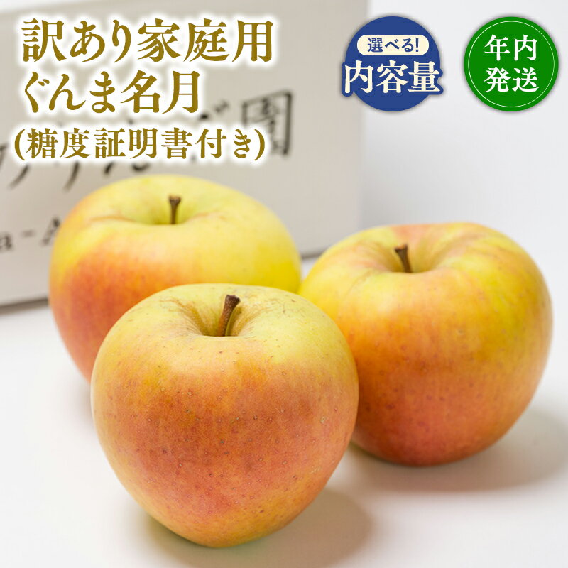 【激安大特価！】 楽天市場】ぐんま名月 5kgの通販 りんご 果物
