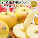 【ふるさと納税】≪11~12月発送≫青森県産 キラ農法 贈答用 特選クラス ぐんま名月 約3kg【青森県 平川市 夢ファクトリー】 完熟りんご レビューキャンペーン