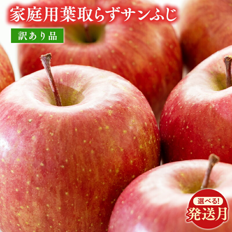 【ふるさと納税】≪発送月が選べる≫ 青森県産 訳あり家庭用 葉取らずサンふじ 約10kg (32〜40玉程度) 【 青森県 平川市 森山商店 】 りんご 森山商...