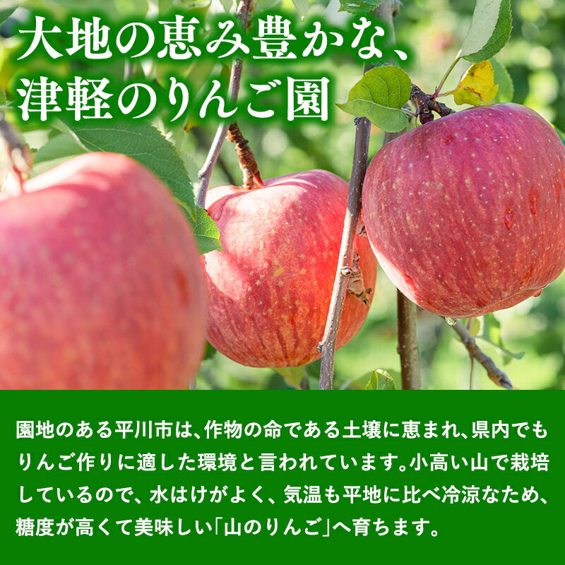 【ふるさと納税】≪年明け発送≫青森県産 山の完熟サンふじ 約3kg 約5kg【青森県 平川市 吹田りんご園】年明け発送 サンふじ ふじ りんご リンゴ アップル 果物 くだもの フルーツ 平川市産 完熟りんご レビューキャンペーン
