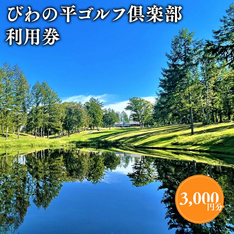 びわの平ゴルフ倶楽部 利用券 3,000円分 ゴルフ場利用権 びわの平 利用券 ラウンド ゴルフ 谷越え 林間コース GPSナビ 乗用カート カート 乗入れ シニア 利用券 ゴルフ ラウンド ゴルフプレー券 プレー券 ホール 平川市 平川 レビューキャンペーン