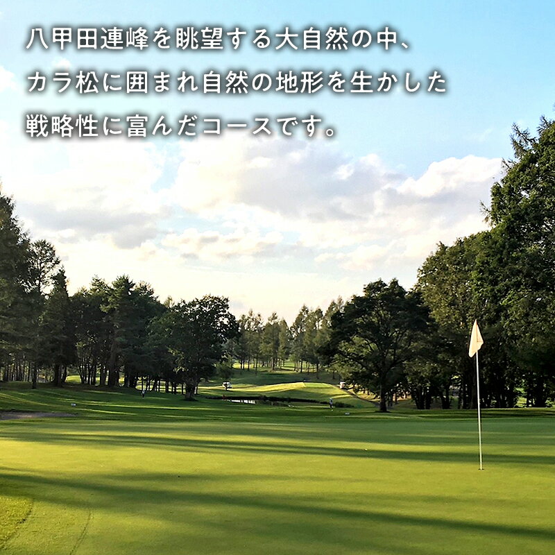 【ふるさと納税】びわの平ゴルフ倶楽部 土・休日セルフプレー券（昼食付） ゴルフ場利用権 びわの平 利用券 ラウンド ゴルフ 谷越え 林間コース GPSナビ 乗用カート カート 乗入れ シニア 利用券 ゴルフ ラウンド ゴルフプレー券 プレー券 ホール 休日 平川市 平川