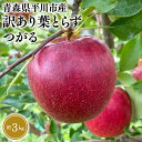 【ふるさと納税】≪8月下旬頃より発送≫青森県産 訳あり つがる 約3kg【青森県 平川市 なるみ農園】家庭用 訳アリ 青森 青森県産 平川 りんご リンゴ 林檎 くだもの 果物 フルーツ レビューキャンペーン(4)