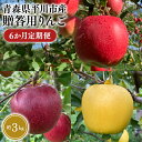【ふるさと納税】≪8月下旬頃より発送≫青森県産 贈答用りんご 6か月定期便 約3kg【青森県 平川市 なるみ農園】贈答 贈答規格 青森 青森県産 平川 りんご リンゴ 林檎 くだもの 果物 フルーツ レビューキャンペーン(4)