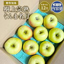 【ふるさと納税】≪令和7年産先行受付≫青森県産 贈答用 樹上完熟 ぐんま名月 約2kg 約3kg 約5kg【青森県 平川市 山内ファーム】贈答 贈答規格 平川市産 青森りんご りんご リンゴ 林檎 完熟 群馬名月 名月 お取り寄せ 先行予約 果物 くだもの フルーツ レビューキャンペーン(4)