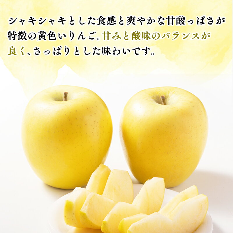 【ふるさと納税】≪令和7年産先行受付≫青森県産 贈答用 シナノゴールド 約2kg 約3kg 約5kg【青森県 平川市 山内ファーム】贈答 贈答規格 平川市産 青森りんご りんご リンゴ 林檎 シナノ ゴールド お取り寄せ 先行予約 果物 くだもの フルーツ レビューキャンペーン