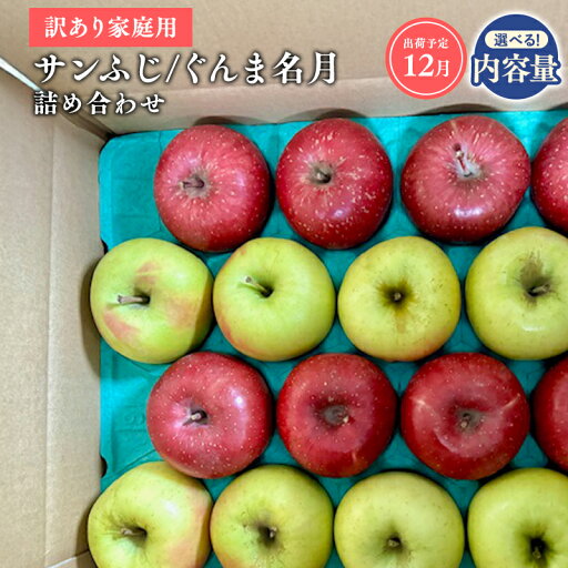 【ふるさと納税】≪令和7年産先行受付≫青森県産 家庭用 サンふじ・ぐんま名月 詰め合わせ 約3kg 約5kg【青森県 平川市 山内ファーム】青森りんご りんご リンゴ 林檎 ふじ サンフジ 群馬名月 お取り寄せ 先行予約 果物 くだもの フルーツ レビューキャンペーン 【ふるさと納税】≪令和7年産先行受付≫青森県産 家庭用 サンふじ・ぐんま名月 詰め合わせ 約3kg 約5kg【青森県 平川市 山内ファーム】青森りんご りんご リンゴ 林檎 ふじ サンフジ 群馬名月 お取り寄せ 先行予約 果物 くだもの フルーツ レビューキャンペーン