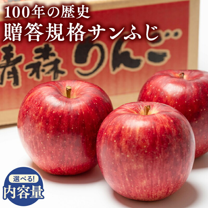 【ふるさと納税】≪内容量が選べる!≫100年の歴史 青森県産 贈答規格サンふじ 約3kg 約5kg【田中農園 青森りんご 平川市産】12月発送 青森 平川 りんご リンゴ 林檎 フルーツ レビューキャンペーンのサムネイル