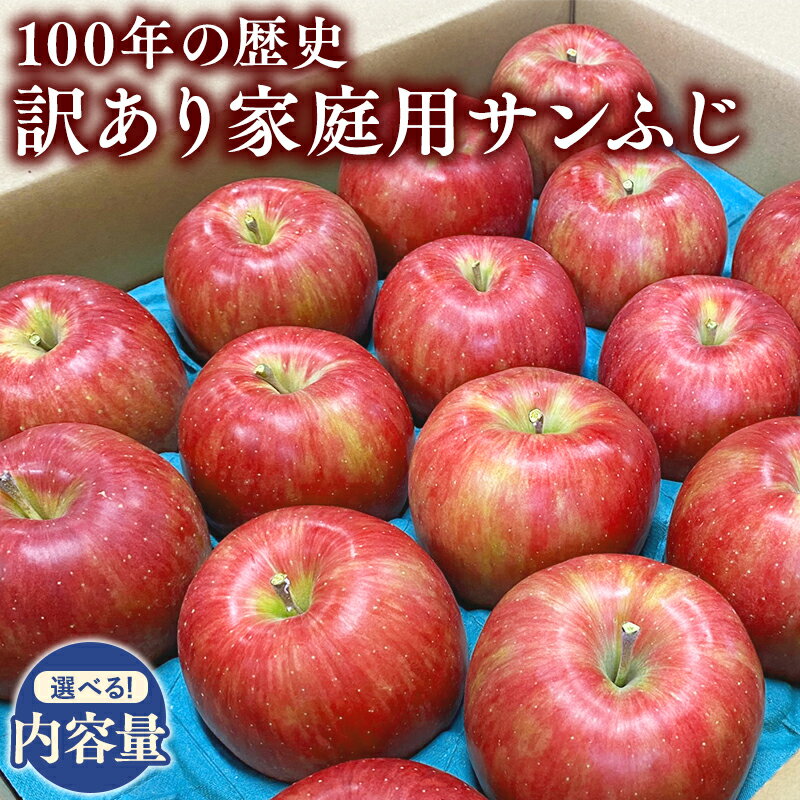 【ふるさと納税】≪内容量が選べる!≫100年の歴史 青森県産 訳あり 家庭用 サンふじ 約3kg 約5kg【田中農園 青森りんご 平川市産】12月発送 青森 平川 りんご リンゴ 林檎 フルーツ レビューキャンペーンのサムネイル