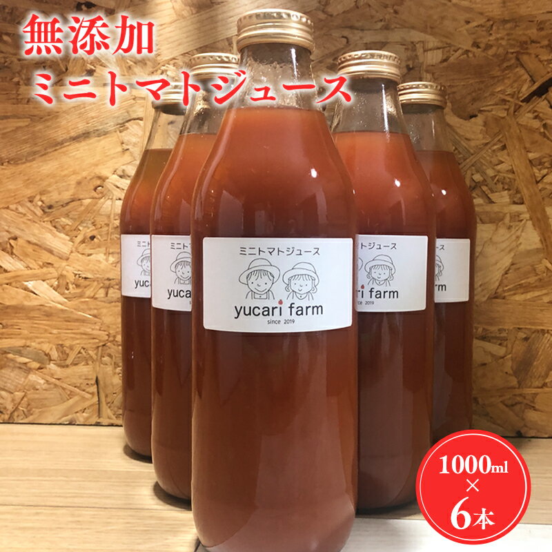 ڤդ뤵Ǽǡ̵ź ߥ˥ȥޥȥ塼 1L6ܥå  ȥޥ Ȥޤ ץȥޥ ڥ塼 塼  źʪ...