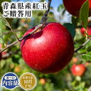 【ふるさと納税】≪内容量が選べる!≫青森県産 贈答用 紅玉 3kg 5kg 10kg【青森県 平川市 そと川りんご園】10月発送 贈答 青森 青森県産 平川 りんご リンゴ 林檎 くだもの 果物 フルーツ レビューキャンペーン(4)
