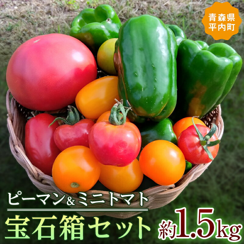 ڤդ뤵Ǽǡ ɥԡޥȥߥ˥ȥޥȤȢå 1.5kg ڥåɥեޡ ȥޥ Ȥޤ  ̣  Ť   tomato    ͤ碌 ܤ    ̵ F21J-064