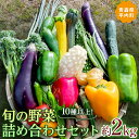 【ふるさと納税】 10種以上！旬の野菜詰め合わせセット 約2kg 【収穫型観光農園レッドファーマー】 旬の野菜 旬野菜 新鮮 食品 グルメ 詰め合わせ 冷蔵 ファーマーズマーケット 送料無料 野菜 美味しい 甘い 夏野菜 サラダ おいしい 旬 国産 お取り寄せ F21J-066