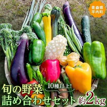 10種以上！旬の野菜詰め合わせセット 約2kg 【収穫型観光農園レッドファーマー】 旬の野菜 旬野菜 新鮮 食品 グルメ 詰め合わせ 冷蔵 ファーマーズマーケット 送料無料 野菜 美味しい 甘い 夏野菜 サラダ おいしい 旬 国産 お取り寄せ F21J-066