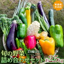 5位! 口コミ数「0件」評価「0」 15種以上！旬の野菜詰め合わせセット 約2.5kg 【収穫型観光農園レッドファーマー】旬の野菜 旬野菜 新鮮 食品 グルメ 詰め合わせ 冷･･･ 