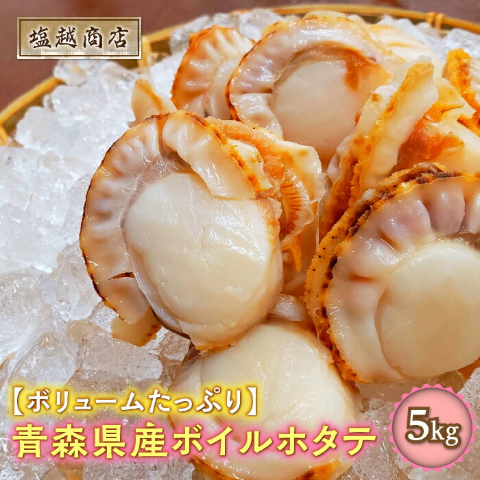 【ふるさと納税】青森県産 ボイルホタテ 5kg【塩越商店】 ホタテ ほたて 帆立 スチーム ボイル 貝柱 炊き込みご飯 魚介 青森 青森県 東北 陸奥湾 むつ湾 F21J-071のサムネイル