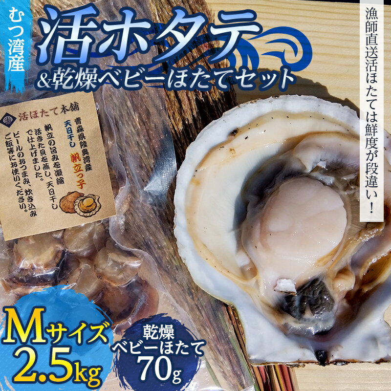 むつ湾で獲れた活ホタテ Mサイズ 約2.5kg ＋ 天日干し帆立っ子 70gセット【活ほたて本舗】 ホタテ ほたて 帆立 活ホタテ 生ほたて 生ホタテ 刺身 殻付き 海鮮 新鮮 貝 貝柱 おつまみ 酒の肴 魚介 青森県 東北 陸奥湾 BBQ バーベキュー キャンプ F21J-092