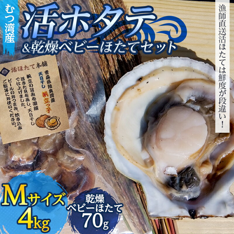 むつ湾で獲れた活ホタテ Mサイズ 約4.0kg ＋ 天日干し帆立っ子 70gセット【活ほたて本舗】 ホタテ ほたて 帆立 活ホタテ 生ほたて 生ホタテ 刺身 殻付き 海鮮 新鮮 貝 貝柱 おつまみ 肴 魚介 青森県 東北 陸奥湾 BBQ バーベキュー キャンプ 4kg F21J-093