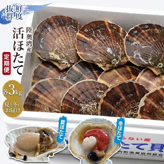 【ふるさと納税】《定期便》夏と冬 旬の活ほたて 食べ比べ 各3kg【平内町漁業協同組合】 ホタテ ほたて 帆立 活ホタテ 貝柱 殻付き ほたて広場 魚介 青森 青森県 東北 むつ湾 陸奥湾 漁協 F21J-109