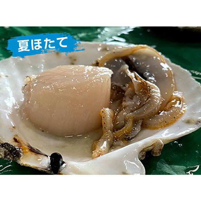 【ふるさと納税】 ＜定期便＞夏と冬 旬の活ほたて 食べ比べ 各3kg【平内町漁業協同組合】 ホタテ ほたて 帆立 活ホタテ 生ほたて 貝 貝柱 殻付き ほたて広場 魚介 青森 青森県 東北 むつ湾 陸奥湾 漁協 海鮮 BBQ バーベキュー F21J-165