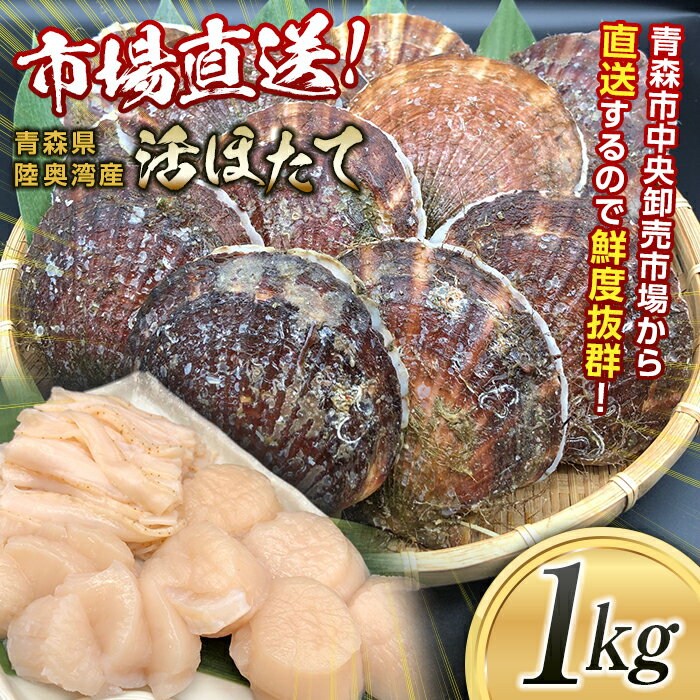 【ふるさと納税】 【動画有り】市場直送 旬の活ほたて1kg 【あおもり食品】 活ホタテ ホタテ ほたて 帆立 生ほたて 生ホタテ 刺身 殻付き 貝付き 貝 貝柱 魚介 海鮮 新鮮 青森 青森県 東北 陸奥湾 むつ湾 BBQ バーベキュー キャンプ F21J-112のサムネイル