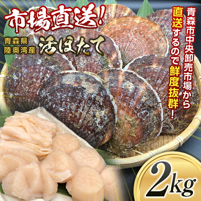 【ふるさと納税】 【動画有り】市場直送 旬の活ほたて2kg 【あおもり食品】 活ホタテ ホタテ ほたて 帆立 生ほたて 生ホタテ 刺身 殻付き 貝付き 貝 貝柱 魚介 海鮮 新鮮 青森 青森県 東北 陸奥湾 むつ湾 BBQ バーベキュー キャンプ F21J-113のサムネイル