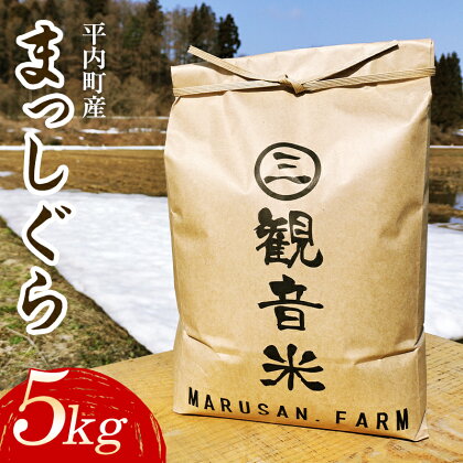 青森県平内町の美味しいお米 まっしぐら 5kg （令和5年産） 【マルサンファーム】 精米 青森 青森県 東北 米 お米 F21J-118