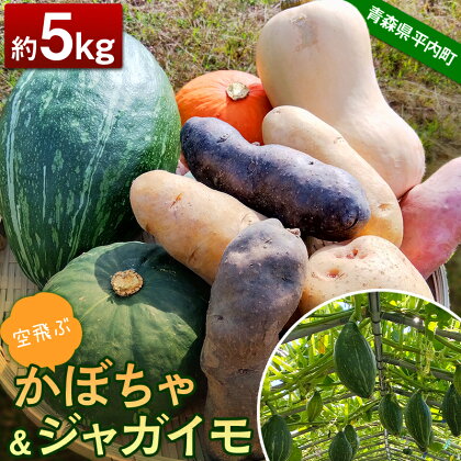 空飛ぶかぼちゃとジャガイモのセット 約5kg 【レッドファーマー】 カボチャ 南瓜 旬の野菜 旬野菜 新鮮 野菜 お取り寄せ 送料無料 新じゃが じゃがいも 芋 いも ポテト おいしい 旬 国産 詰め合わせ 美味しい 甘い 夏野菜 サラダ F21J-139