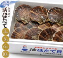 【ふるさと納税】《容量が選べる》活ほたて 3kg~10kg 【平内町漁業協同組合】 ホタテ ほたて 帆立 活ホタテ 人気 生ほたて 生ホタテ 刺身 貝 貝柱 殻付き 海鮮 新鮮 ほたて広場 魚介 青森県 平内町 東北 むつ湾 陸奥湾 漁協 BBQ バーベキュー キャンプ F21J-161var