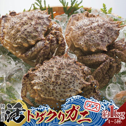 青森県 陸奥湾産 活トゲクリガニ(メス) 約1kg (4～5杯) 《白砂活貝組 琉宝丸》 漁師直送 かに カニ 蟹 魚介 青森 青森県 東北 むつ湾 F21J-178