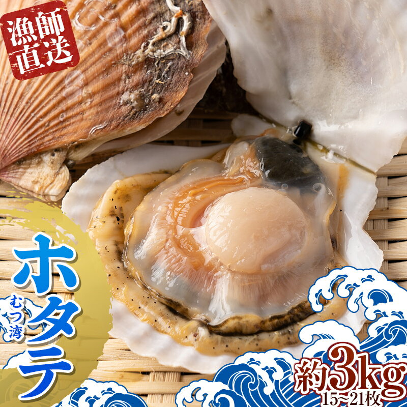 【ふるさと納税】漁師直送 青森県 むつ湾 ホタテ(2年貝) 約3kg (15～21枚) 【龍運丸 水産】 ほたて 帆立 活ホタテ 生ほたて 生ホタテ 刺身 貝 貝柱 海鮮 新鮮 殻付き 魚介 青森 東北 陸奥湾 BBQ バーベキュー キャンプ F21J-180