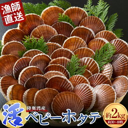 【ふるさと納税】《期間限定》 漁師直送 活ベビーホタテ(半成貝) 約2kg 【白砂活貝組 琉宝丸】 ホタテ ほたて 帆立 活ホタテ 海鮮 貝 貝柱 魚介 青森 青森県 東北 むつ湾 陸奥湾 F21J-187