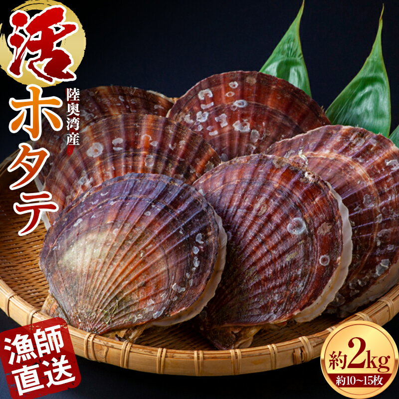 ひらない活貝組 漁師直送 活ホタテ 約2kg  ホタテ ほたて 帆立 活ホタテ 生ほたて 生ホタテ 刺身 海鮮 新鮮 貝 貝柱 殻付き 魚介 青森県 平内町 東...