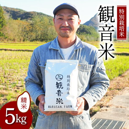 特別栽培米～観音米～ 5kg （令和5年産） 【マルサンファーム】 精米 青森 青森県 東北 米 お米 F21J-200