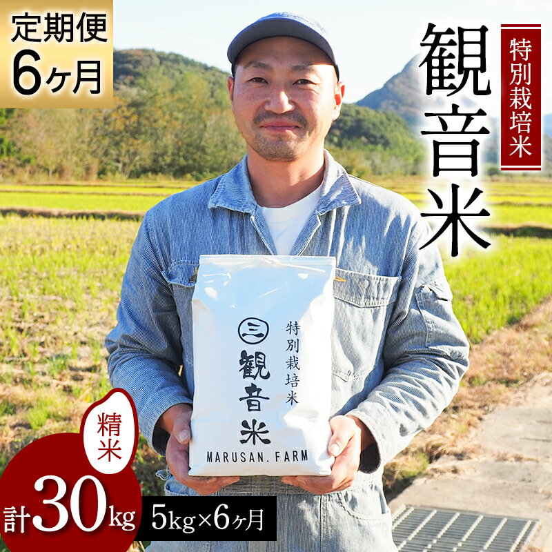 ＜定期便＞特別栽培米～観音米～ 5kg×6ヶ月連続 （令和5年産） 【マルサンファーム】 精米 F21J-204