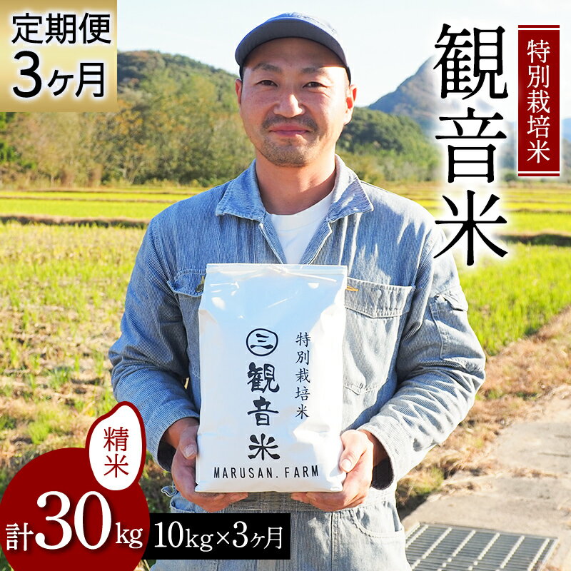 ＜定期便＞特別栽培米～観音米～ 10kg×3ヶ月連続 （令和5年産） 【マルサンファーム】 精米 F21J-206