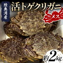 商品画像3