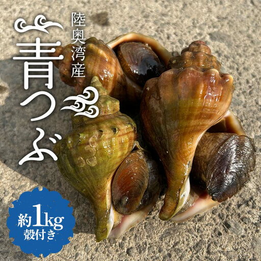 【ふるさと納税】 陸奥湾産 青つぶ 殻付き 1kg詰め 【飛佳丸】 活 青つぶ貝 ツブ つぶ つぶ貝 お刺身 つぶ刺し 刺身 焼きつぶ おつまみ 高級食材 魚介 海鮮 青森県 平内町 東北 むつ湾 F21J-263 【ふるさと納税】 陸奥湾産 青つぶ 殻付き 1kg詰め 【飛佳丸】 活 青つぶ貝 ツブ つぶ つぶ貝 お刺身 つぶ刺し 刺身 焼きつぶ おつまみ 高級食材 魚介 海鮮 青森県 平内町 東北 むつ湾 F21J-263