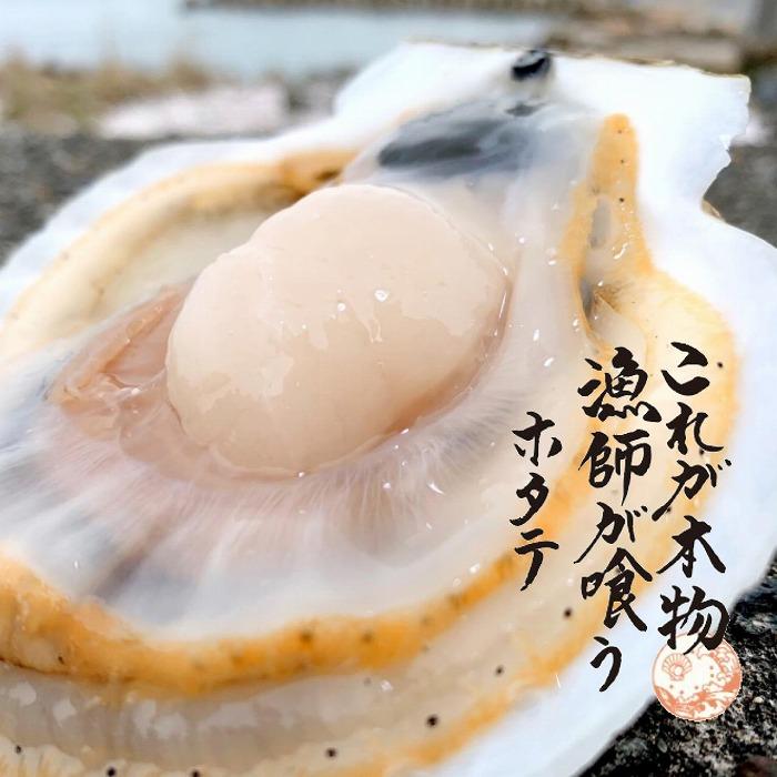 これが本物!漁師が喰うホタテ5kg(約85〜100枚) ヘラ付 | 魚介類 水産 食品 人気 おすすめ 送料無料