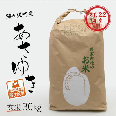 【ふるさと納税】【コロナ支援　訳あり】青森県鰺ヶ沢町 あさゆき 玄米 30kg(2020年産)　【お米・あさゆき・玄米・30kg】