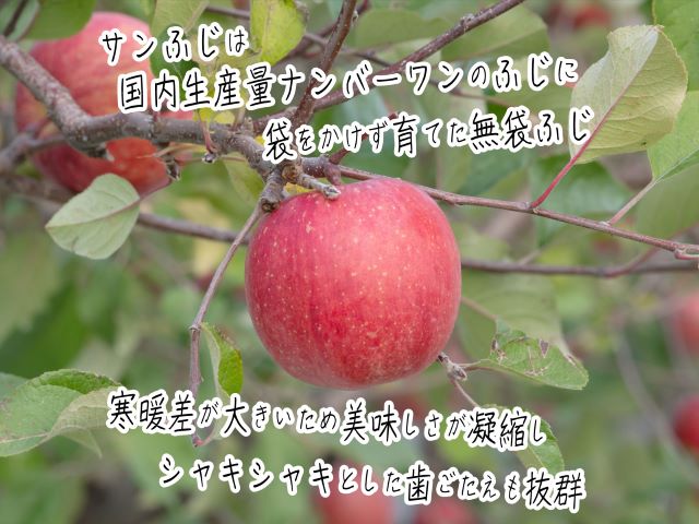 【ふるさと納税】【訳アリ】 ヒバリノ園のサンふじ　約4〜5kg（14〜18玉）　青森県鰺ヶ沢産りんご ※オンライン決済のみ　　【果物類・林檎・りんご・リンゴ・サンふじ・訳あり・フルーツ・果物】　お届け：2022年11月10日〜2023年1月10日