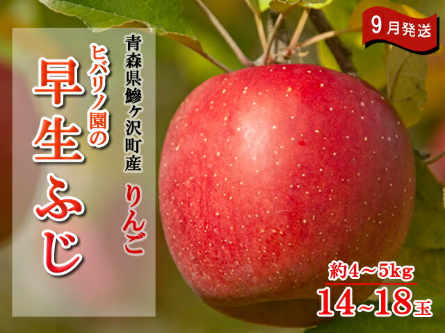 【ふるさと納税】ヒバリノ園の早生ふじ 約4〜5kg（14〜18玉）青森県鰺ヶ沢町産りんご※発送予定：2022年9月25日〜10月5日※オンライン決済のみ　【果物類・林檎・りんご・リンゴ・早生ふじ・弘前・ふじ】　お届け：2022年9月25日〜2022年10月5日