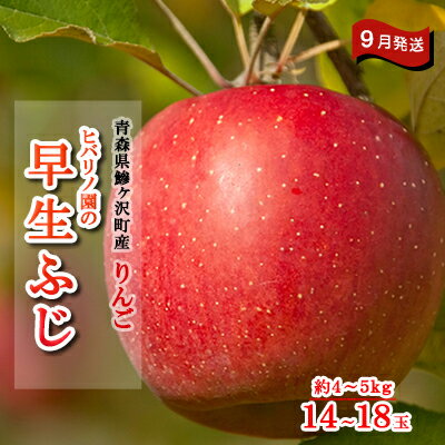 【ふるさと納税】ヒバリノ園の早生ふじ 約4〜5kg（14〜18玉）青森県鰺ヶ沢町産りんご※発送予定：2022年9月25日〜10月5日※オンライン決済のみ　【果物類・林檎・りんご・リンゴ・早生ふじ・弘前・ふじ】　お届け：2022年9月25日〜2022年10月5日